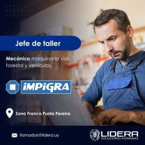 WhatsApp Image 2024-12-23 at 18.15.18 (1)